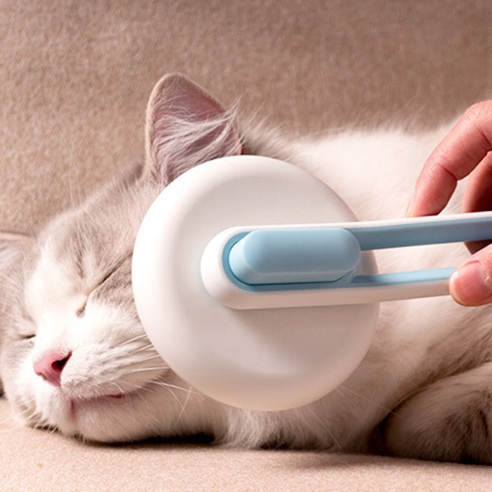 Hair Remover Cat Brush Grooming Tool