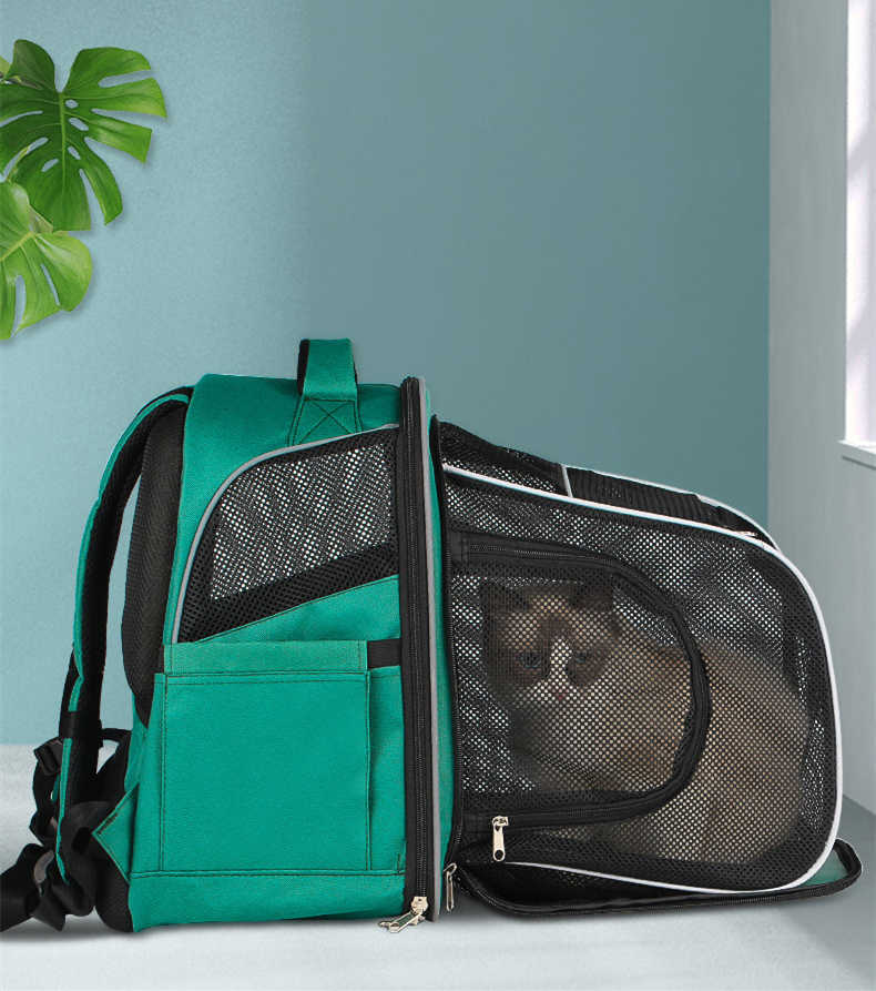 Pets Go Out Backpack Portable Space Bag