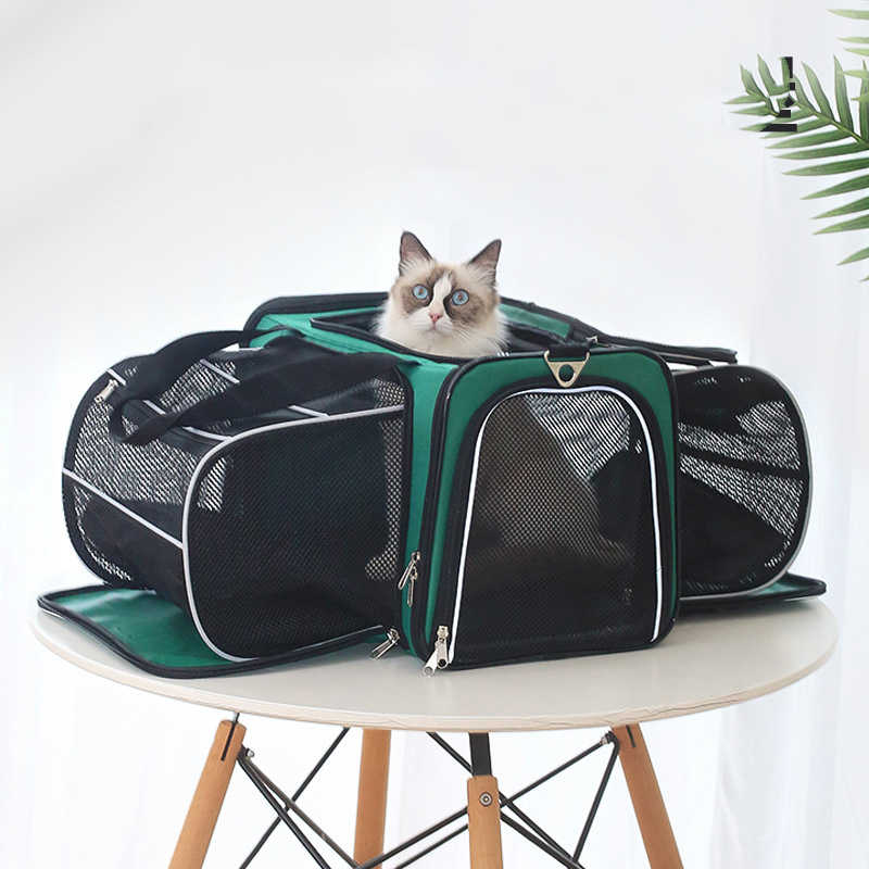 Pets Go Out Backpack Portable Space Bag