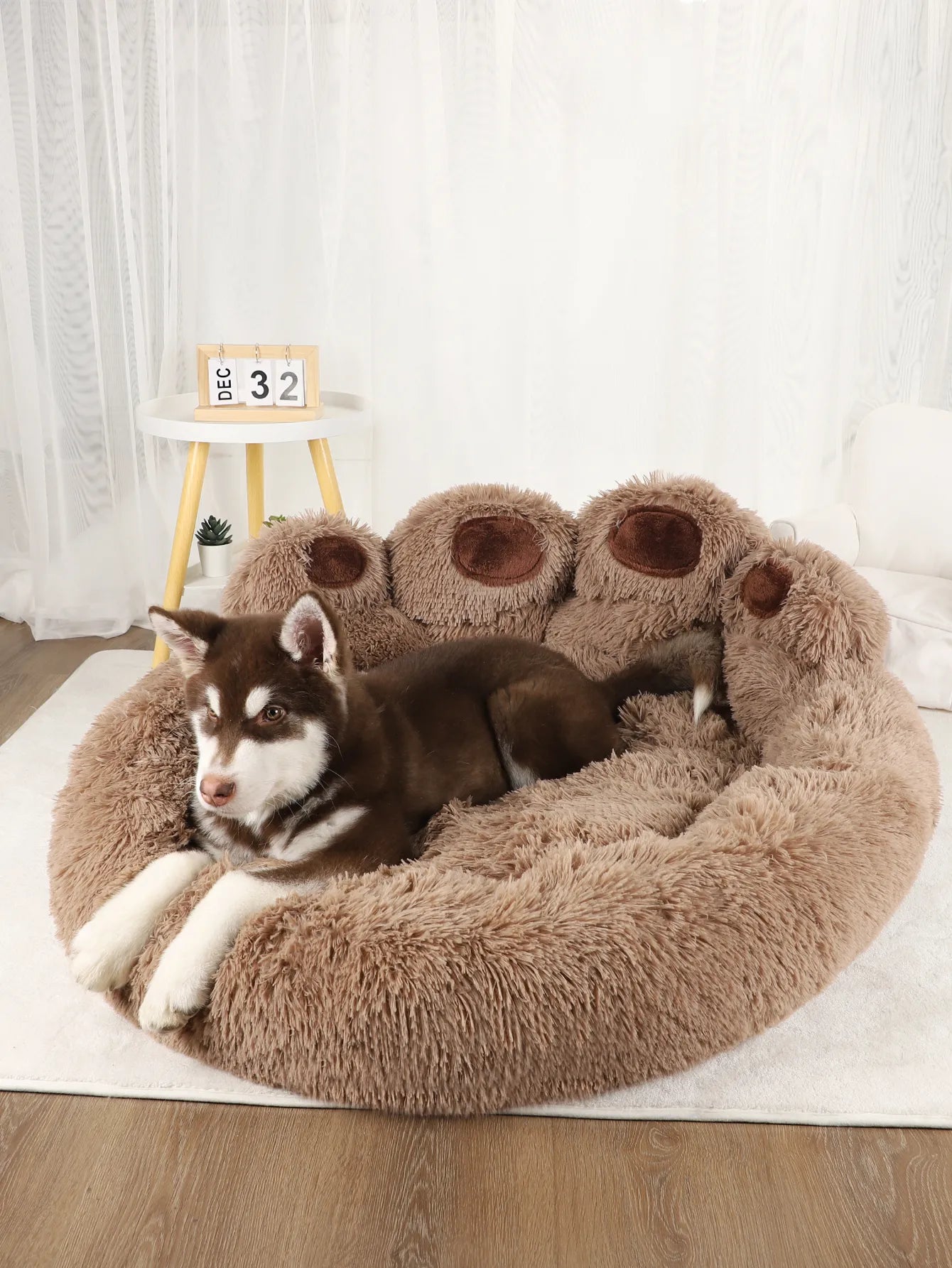 Sofa Paw Bed