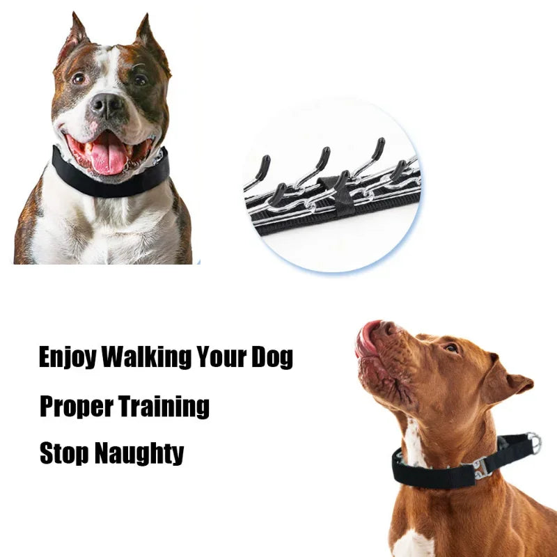 Dog Training Collar Prong