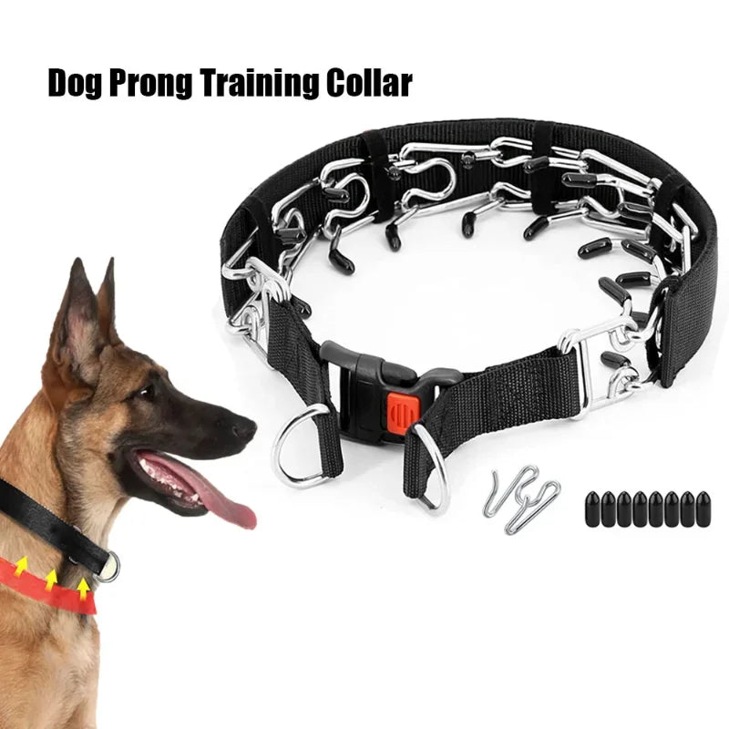 Dog Training Collar Prong