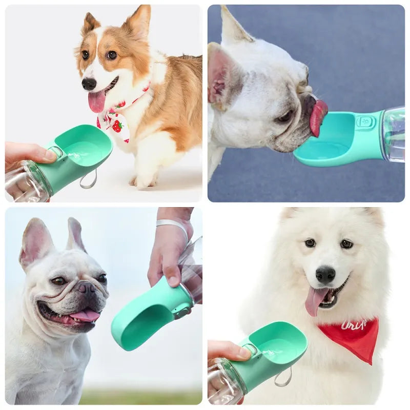 Portable Dog Water Bottle