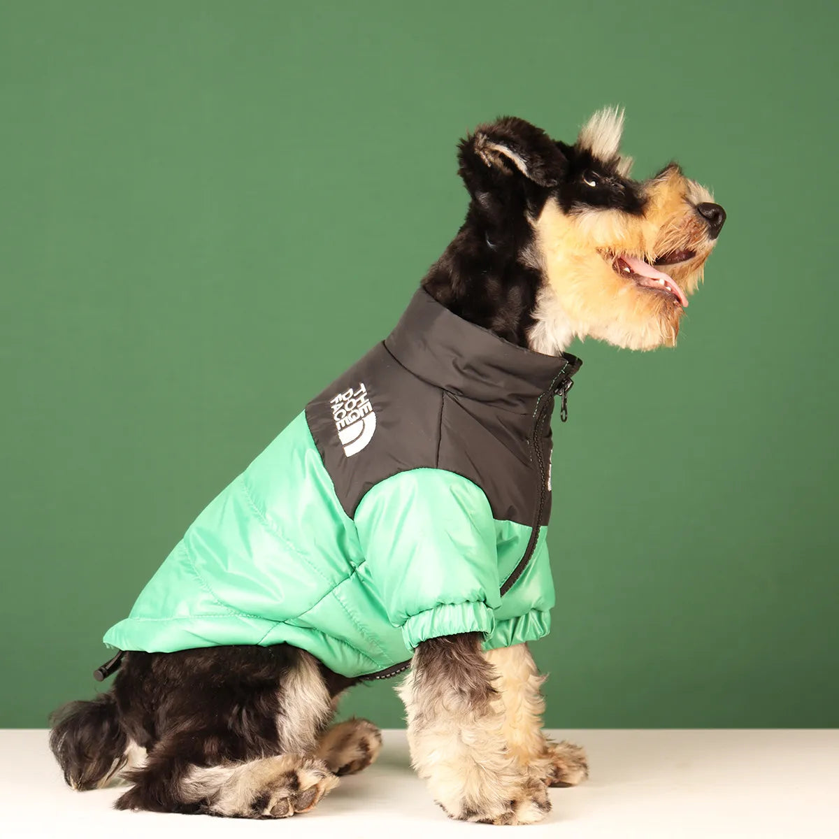 The Dog Face Winter Jacket!