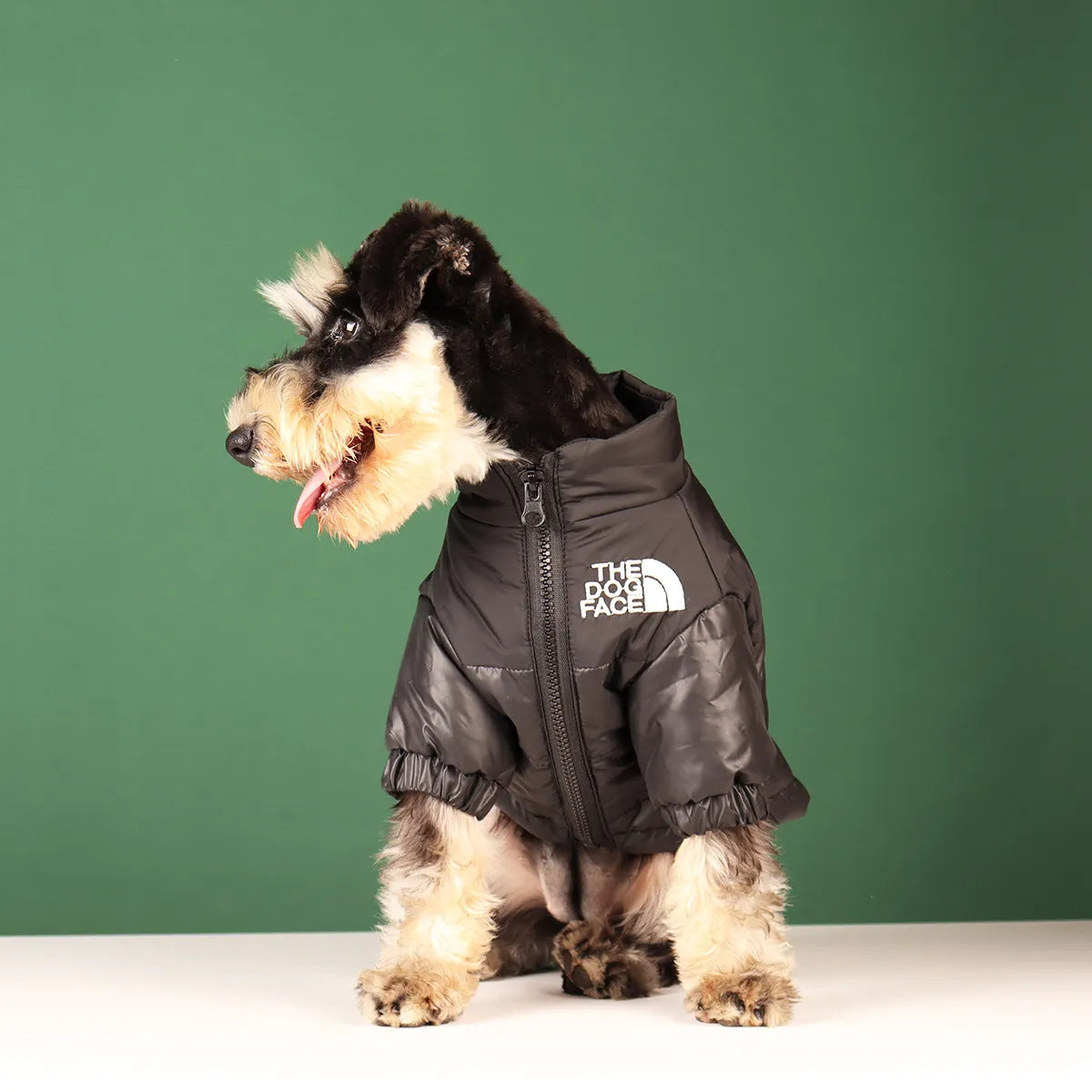 The Dog Face Winter Jacket!