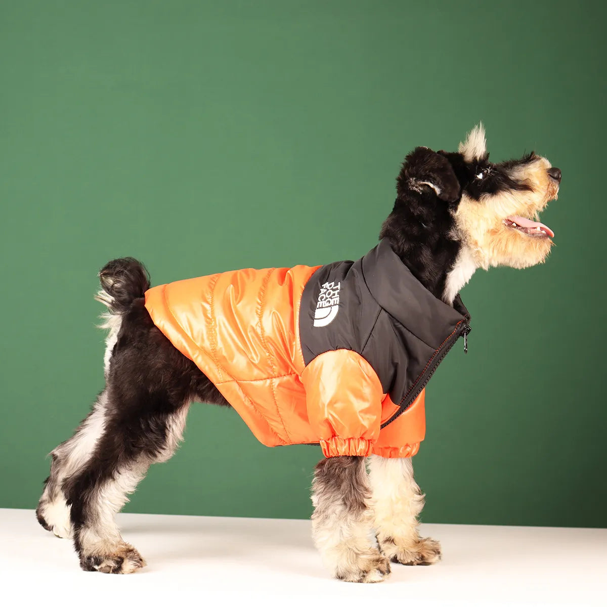 The Dog Face Winter Jacket!