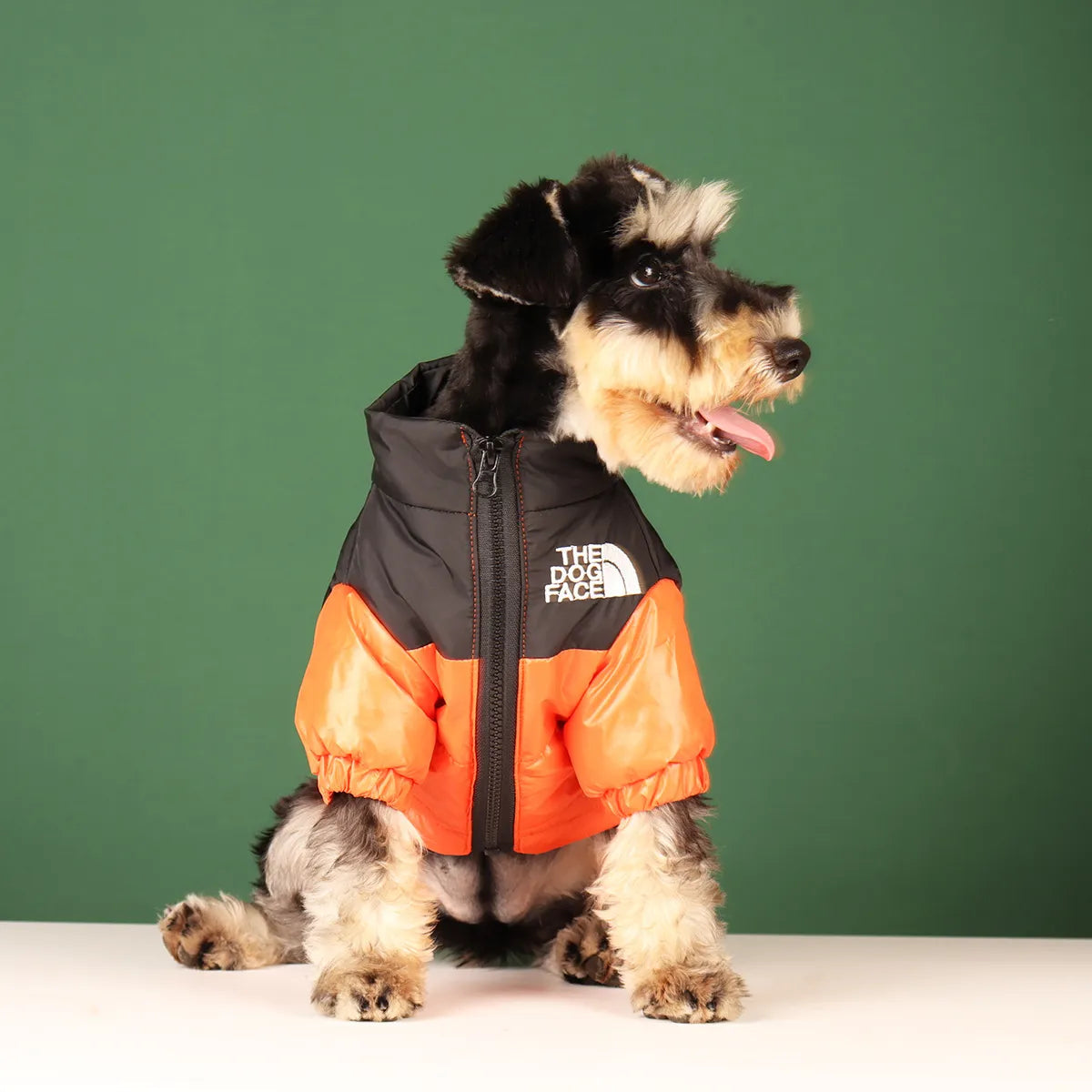 The Dog Face Winter Jacket!