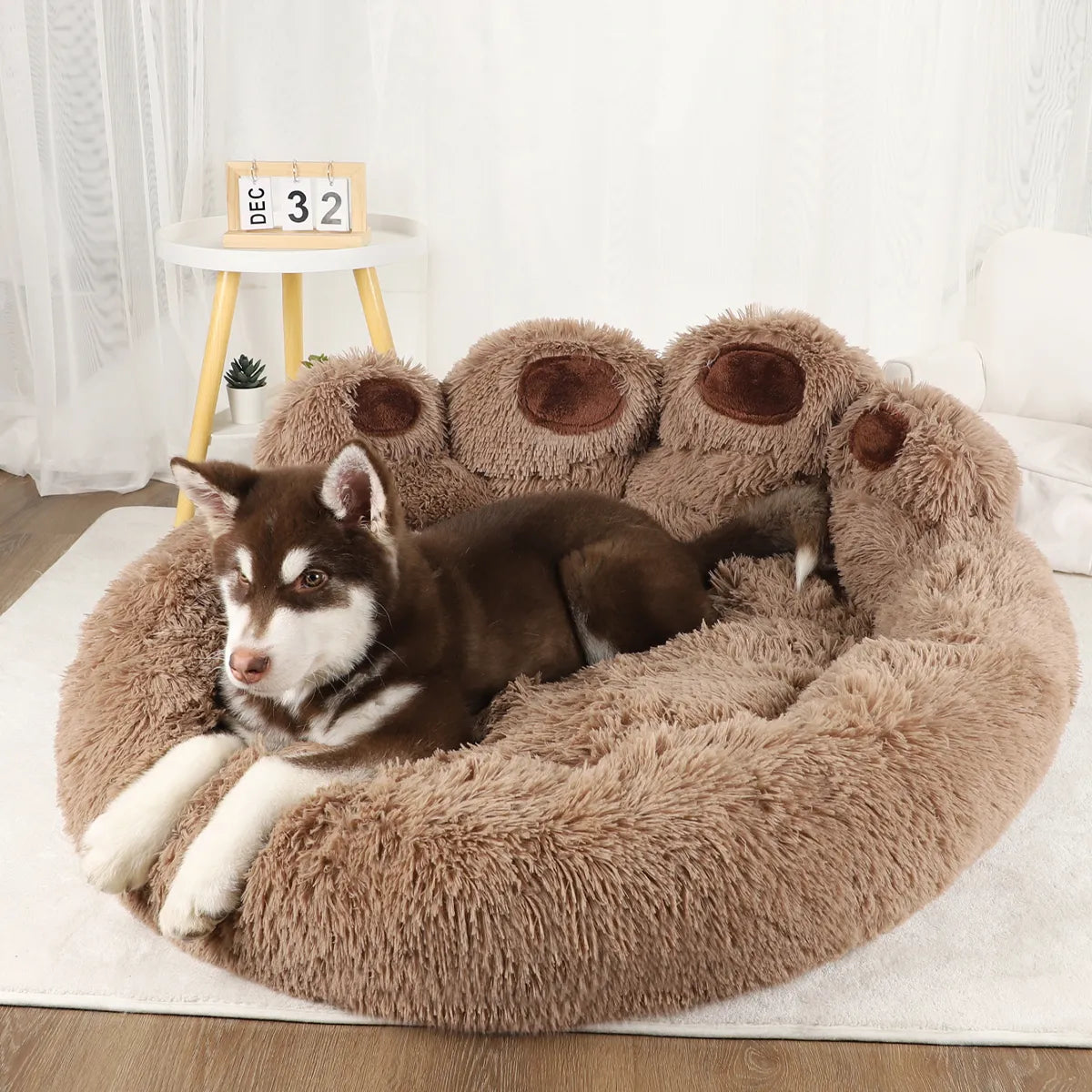 Sofa Paw Bed