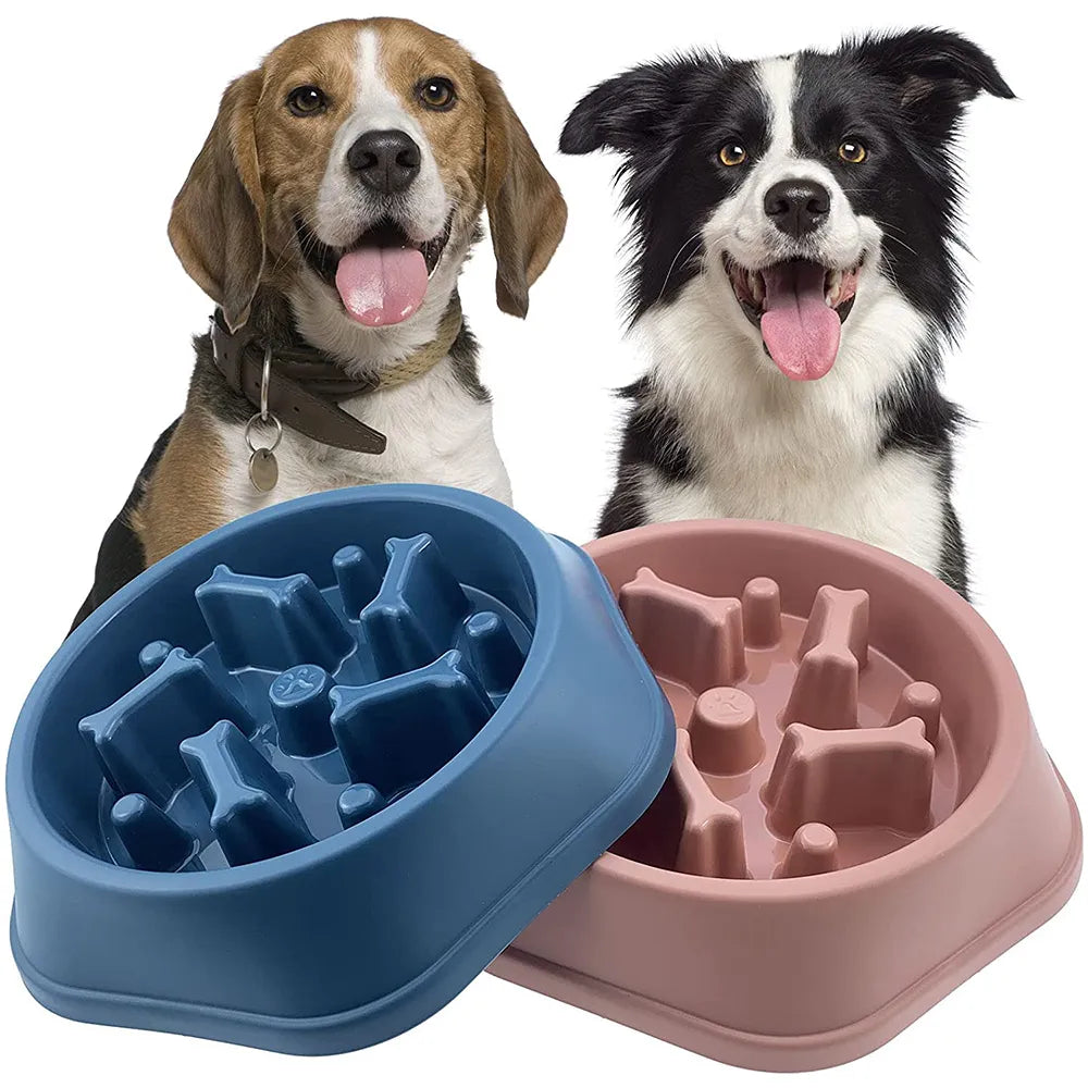 SLOW FEEDER DOG BOWL