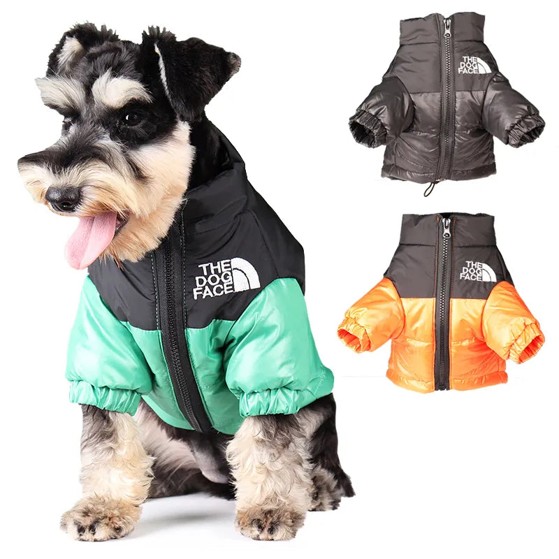 The Dog Face Winter Jacket!