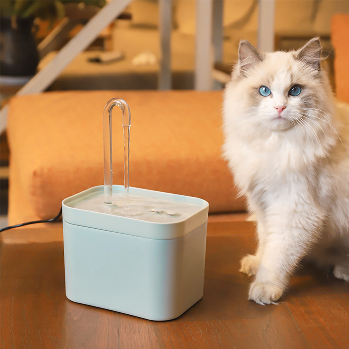 Pet Water Drinker Fountain