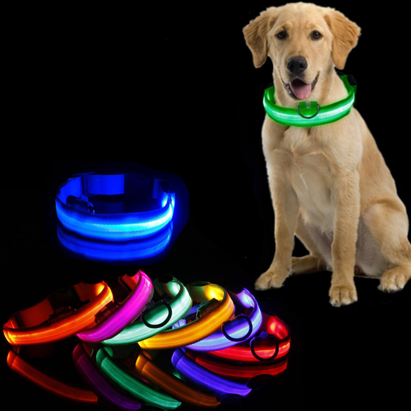 Anti Lost Dog Led Collar